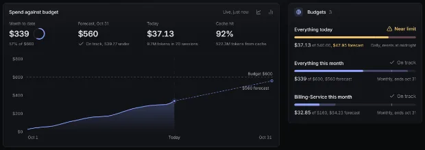 Spend: month to date against the budget with a forecast line, today and cache hit, and three budgets, one near its limit.
